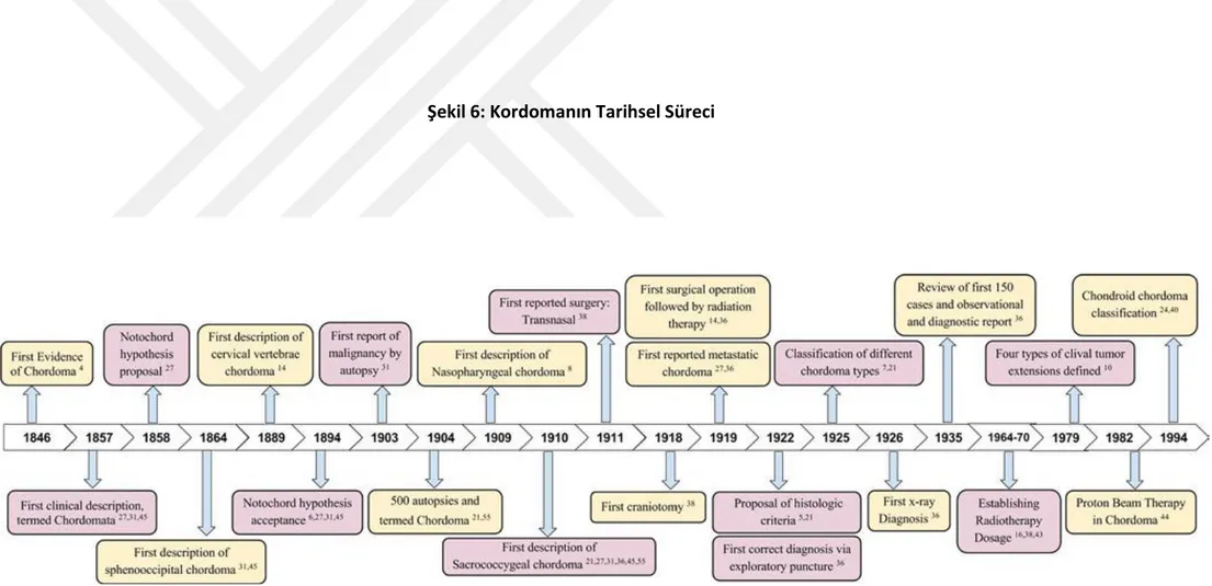 Şekil 6: Kordomanın Tarihsel Süreci  