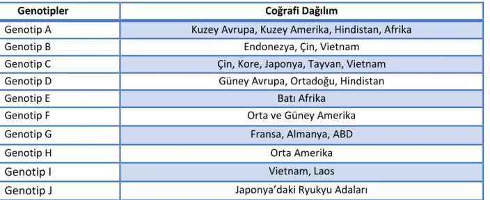 Tablo 1. HBV Genotiplerinin Coğrafi Dağılımları (71), (72) 