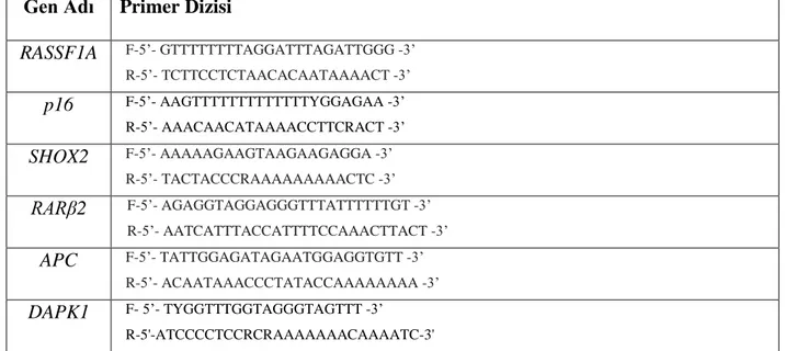 Tablo  3.  Hedef  gen  bölgelerinin  bisülfit  dönüşümü  sonrası  dizi  analizi  için  PCR  ile  çoğaltılmasında kullanılan primer dizileri [F:Forward (İleri), R:Reverse (Geri), Y:C/T, R:A/G] 