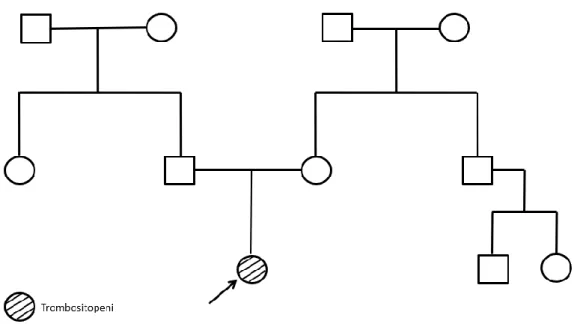 Şekil 12. Olgu 9'un aile ağacı 