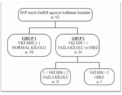 Şekil 10. Hastaların VKİ’ye göre dağılımı 