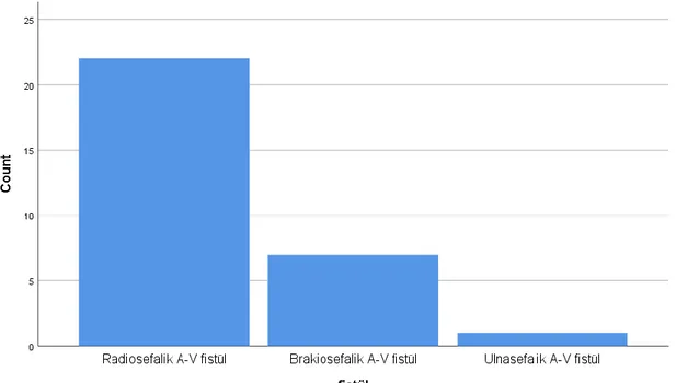 Grafik 4. Fistüllerin türünün dağılım oranı 
