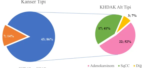 Şekil 5. Akciğer kanseri tipi ve küçük hücreli dışı akciğer karsinomu alt  tiplerine göre dağılım 