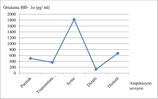 Grafik -13: Ortalama Fetuin- A düzeyi ve ampütasyon seviyesi arasındaki ilişki (p &lt; 0.05) 