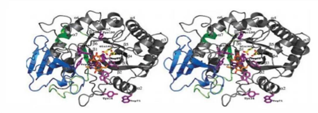 ġekil 5: Kitotriozidazın yapısı (62) 
