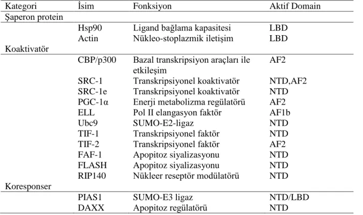 Tablo 10. Mineralokortikoid Reseptörlerinin Etkileştiği Proteinler  