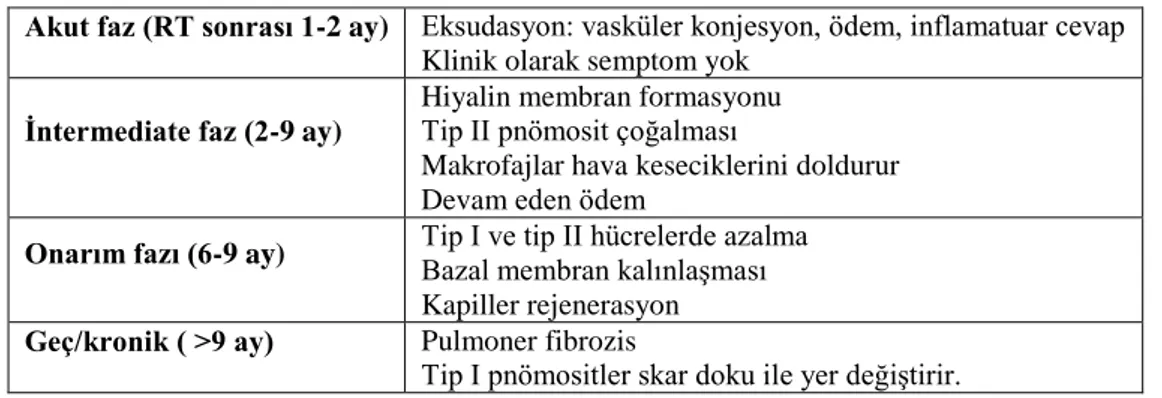 Tablo 2-13: Radyasyon pnömonisi ve fibrozisinin patofizyolojisi 