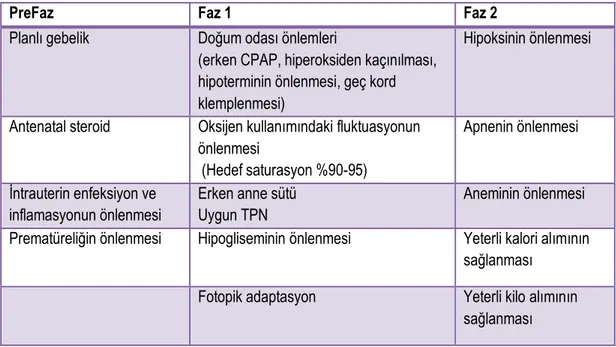 Tablo 2.3. PR gelişimini engellemek amacıyla önerilen önlemler [40], [41], [57], [65], [67]–[71] 