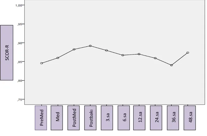 Şekil 4.5. SCOR-L değerlerinin zamansal değişim eğrisi 