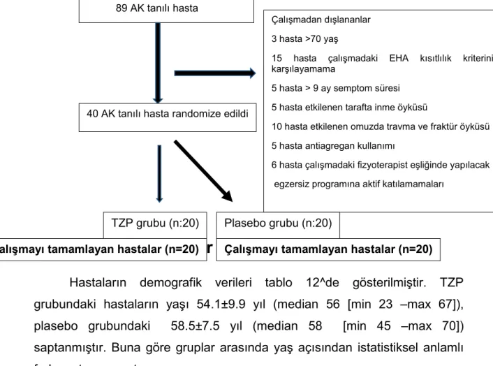 Tablo 11: Tedavi Grupları 