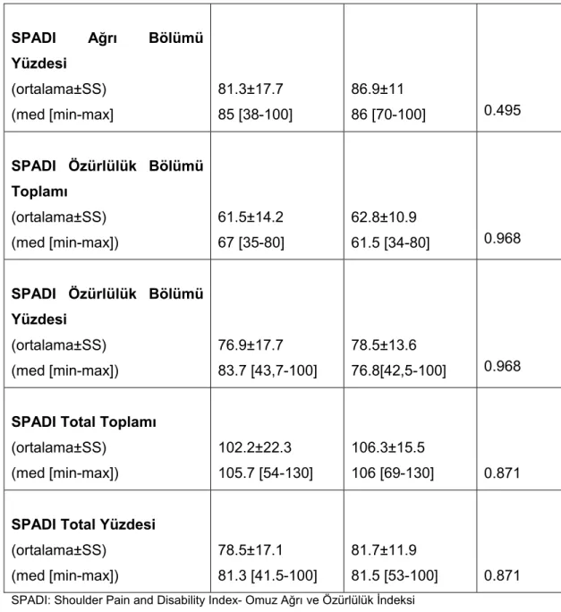 Tablo  15:  VAS-Spontan  ağrı  ve  VAS-sağlık  durumu  başlangıç  değerleri ve gruplar arası karşılaştırılması 
