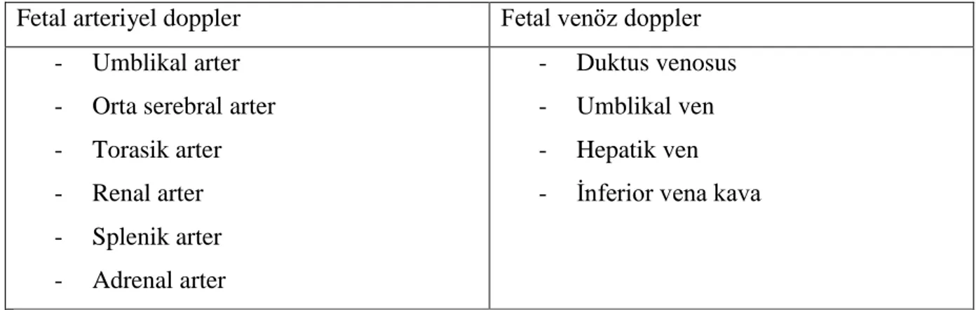 Tablo 6. Obstetride doppler ölçümü yapılan başlıca damarlar  Fetal arteriyel doppler  Fetal venöz doppler 