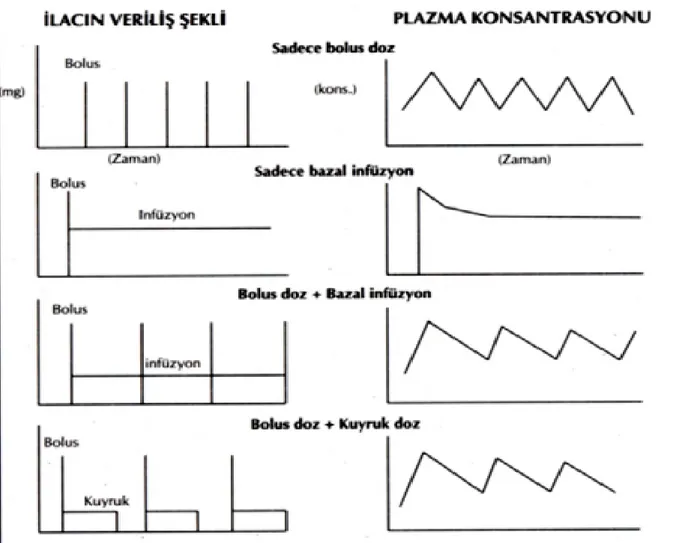 Şekil 11. HKA’da çeşitli doz uygulama seçeneklerindeki plazma konsantrasyonları 