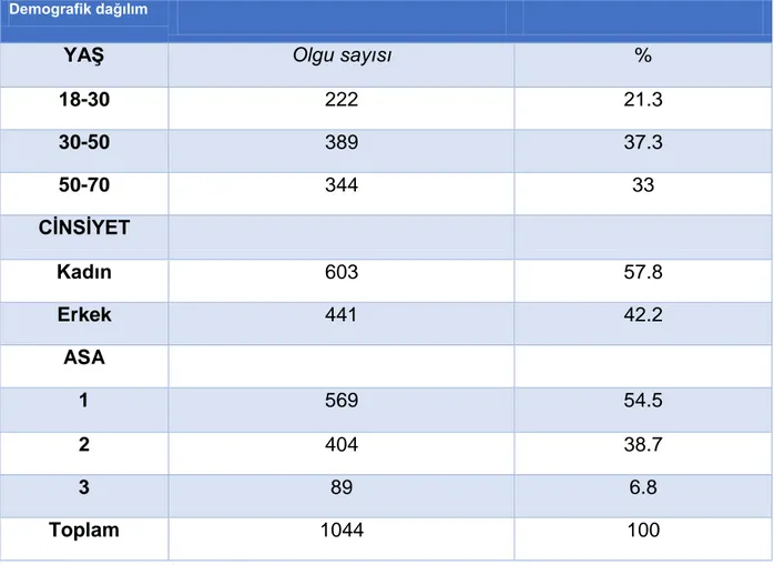 Tablo 2. Demografik dağılım 