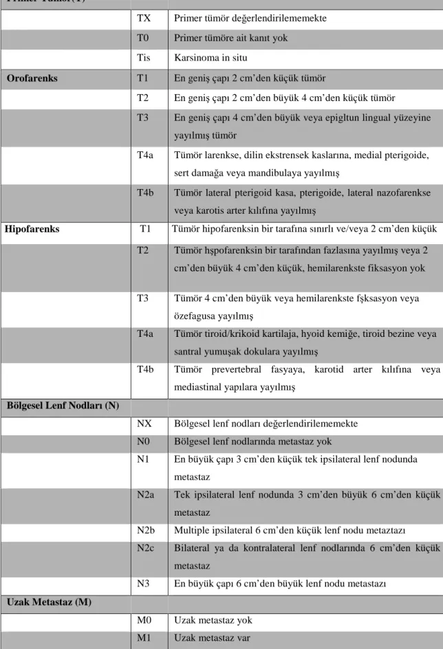 Tablo 5: Orofarenks ve Hipofarenks Kanserlerinin TNM Sınıflaması 