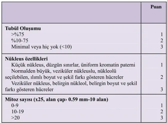 TABLO  3: MBRD derecelendirme sistemi 