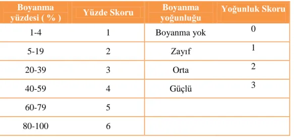 TABLO  4: PARP1 ekspresyon değerlendirmesinde QS sistemi 