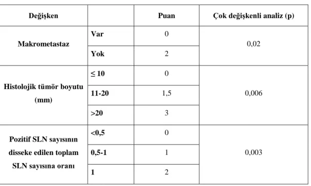 Tablo 2.4.. Tenon aksilla skorlama sistemi 