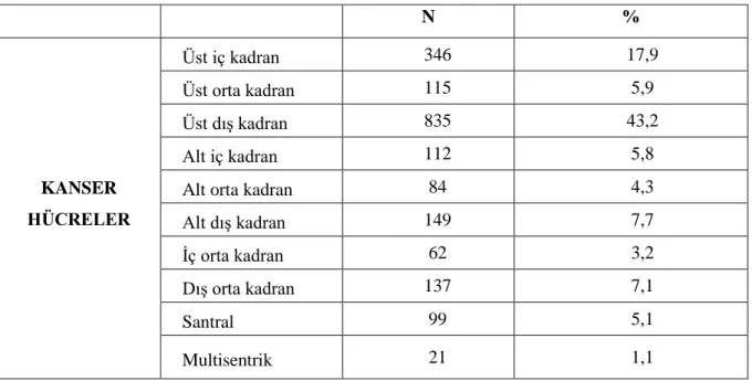 Tablo 4.2. Tümör Lokalizasyonu 