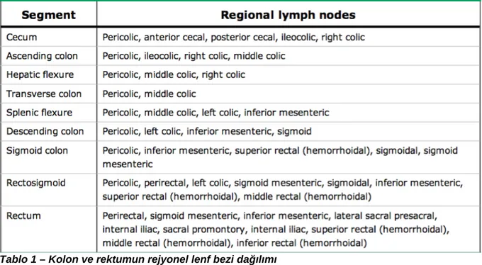 Tablo 1 – Kolon ve rektumun rejyonel lenf bezi dağılımı