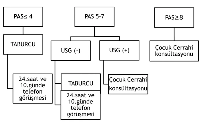Grafik 3.1: Tedavi Planı: 