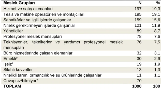 Tablo 13: Öğrencilerin baba meslek gruplarına göre dağılımı 