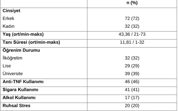Tablo 25: Demografik özellikler 