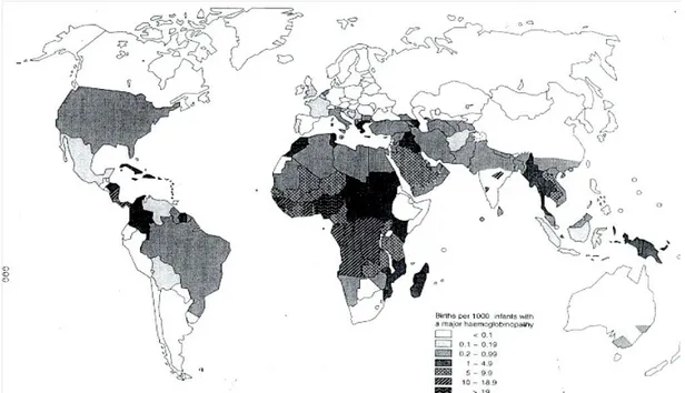 Şekil 6. Dünyada hemoglobin bozukluklarının dağılımı 