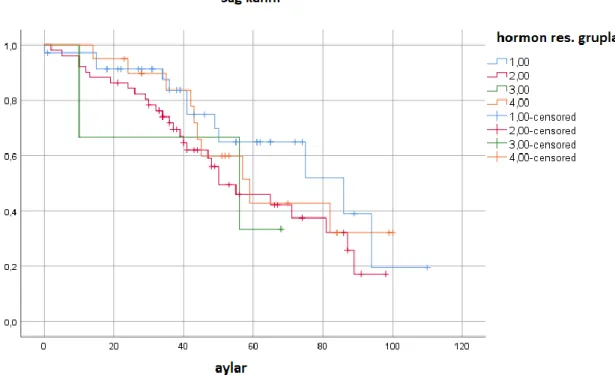 Şekil 8.YDSOK grubunda hormon reseptör durumuna göre sağkalım  Açıklama: 1:ER+PR+, 2:ER+PR:-,3:ER-PR+, 4:ER-PR- 