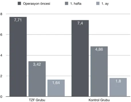 Şekil 3: Toplam endoskopik evreleme skorları 