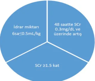 Tablo 11. ABH kriterleri.    SCr:Serum kreatinin değeri.
