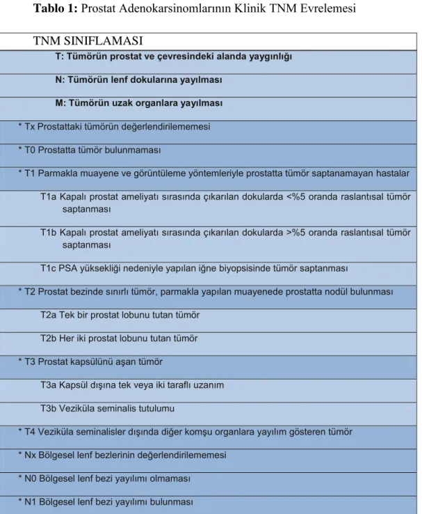 Tablo 1: Prostat Adenokarsinomlarının Klinik TNM Evrelemesi  TNM SINIFLAMASI 