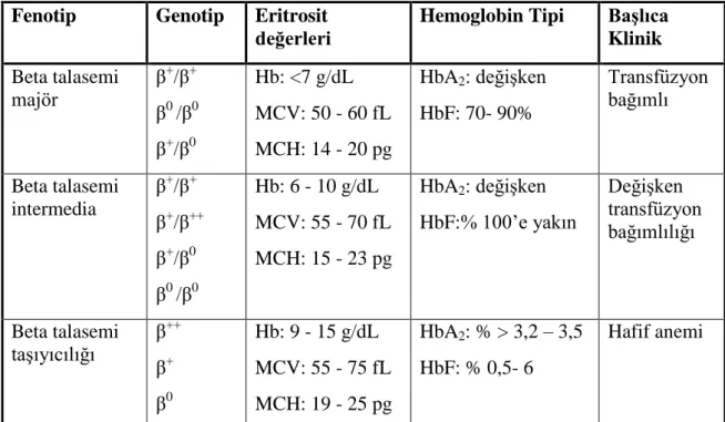 Tablo 2.6: Beta talaseminin fenotip ve genotipleri ile klinik bulguları [53] 