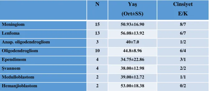 Tablo 2. Grupların olgu sayısı(N), yaş (oratalama±standart sapma) ve cinsiyet (E/K) dağılımı