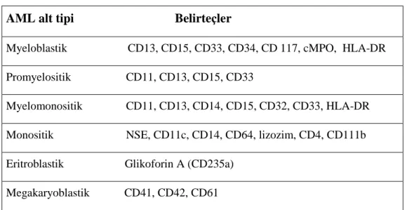 Tablo 2.4. AML Tanısında Flow Sitometride Kullanılan Monoklonal Antikorlar (69)