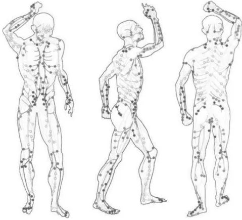 Şekil 6: İnsan vücudundaki perforatörler (Taylor GI. The angiomes of the body and  their supply to perforator flaps