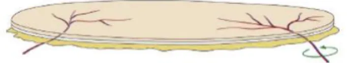 Şekil 9: Perforatör supercharged propeller flepler (Ayestaray B., Ogawa R., Ono S.,  Hyakusoku H
