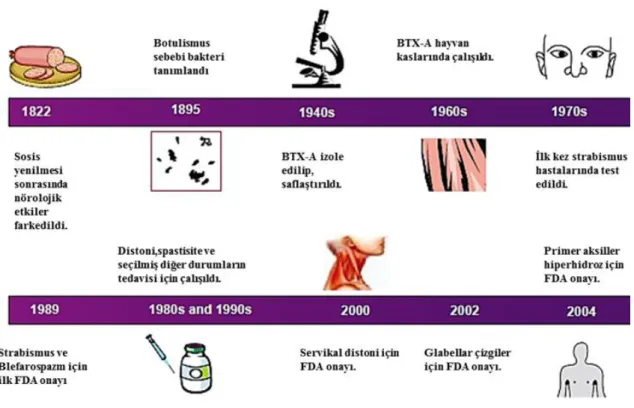 Şekil 11: Botulinum flebi tarihçesi (Botulinum Toxins in Clinical Aesthetic Practice.  Anthony V