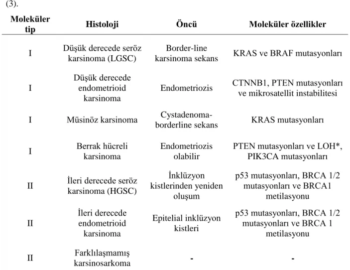 Tablo  2.1:  Over  kanserlerinin  histolojik  özellikleri,  öncüleri  ve  ayırıcı  moleküler  özellikleri   (3)