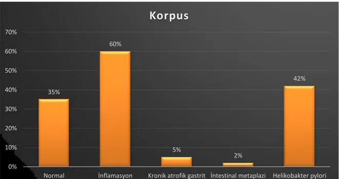 Grafik 6 Korpus Histopatolojik Bulgular 