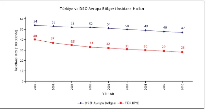Şekil 7.  Türkiye ve DSÖ Avrupa Bölgesi’nde TB İnsidans Hızları, 2002-2010 (Sağlık  Bakanlığı Verem Savaş Daire Başkanlığı Türkiye’de Verem Savaşı 2012 Raporu’ndan 