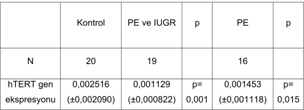 Tablo 7: Gruplarda hTERT mRNA ekspresyon değerlerinin ortalamaları  ve çalışma gruplarının kontrol grubuyla karşılaştırılması 