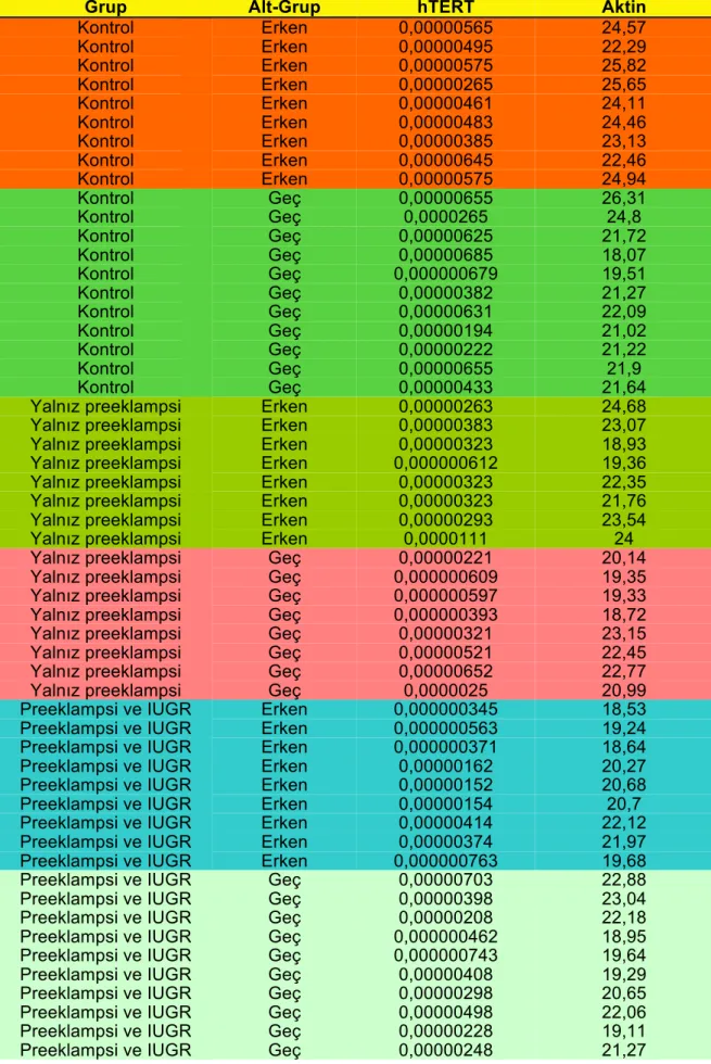 Tablo 9: Olgulara ait hTERT ve Aktin ekspresyon değerleri 