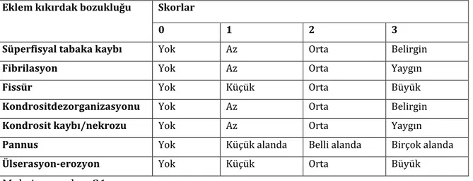 Tablo  7:    Sinoviyal  dokuların  histopatolojik  değerlendirme  kriterleri  ve  skorlama  sistemi  (Madhok ve ark.) 