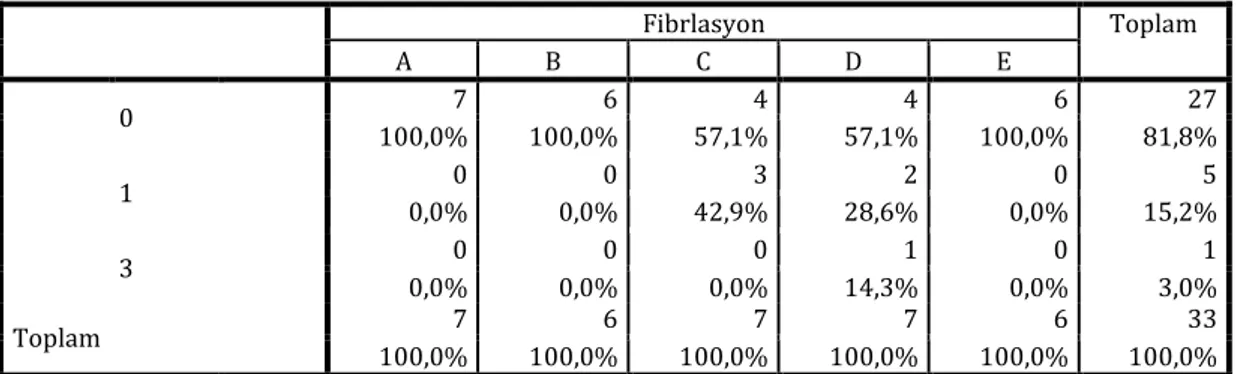 Şekil 5 : Fibrilasyon derecesinin gruplardaki sayısal dağılımı 