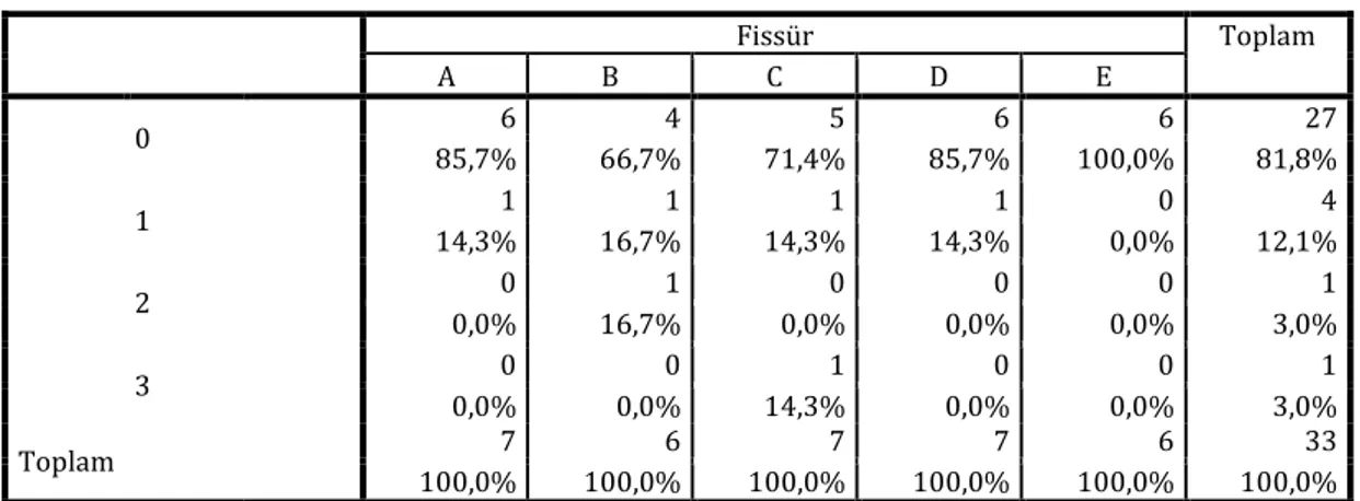 Şekil 6 : Fissürün gruplara sayısal dağılımı 