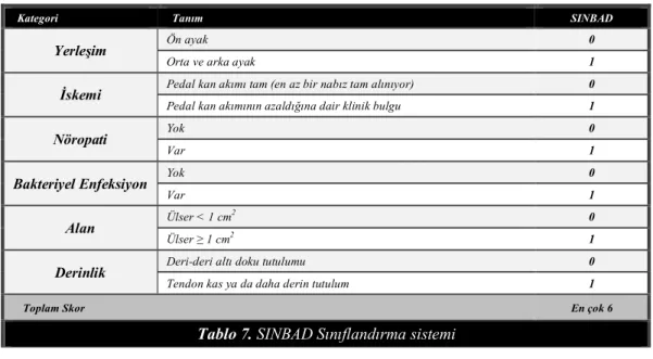 Tablo 7. SINBAD Sınıflandırma sistemi