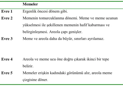 Tablo 5. Kızlarda memelerin ve pubik kılların geliĢimi (75) 
