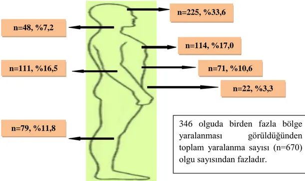 Tablo 17. Yaralanma sayılarının yaş gruplarına göre dağılımı. 