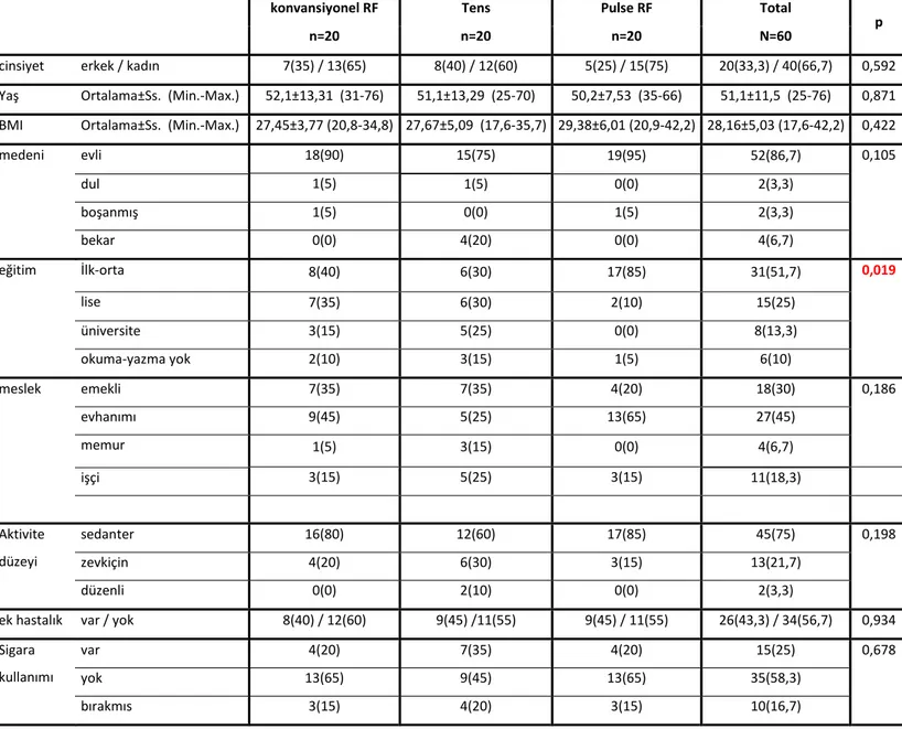 Tablo 1. Demografik Veriler 